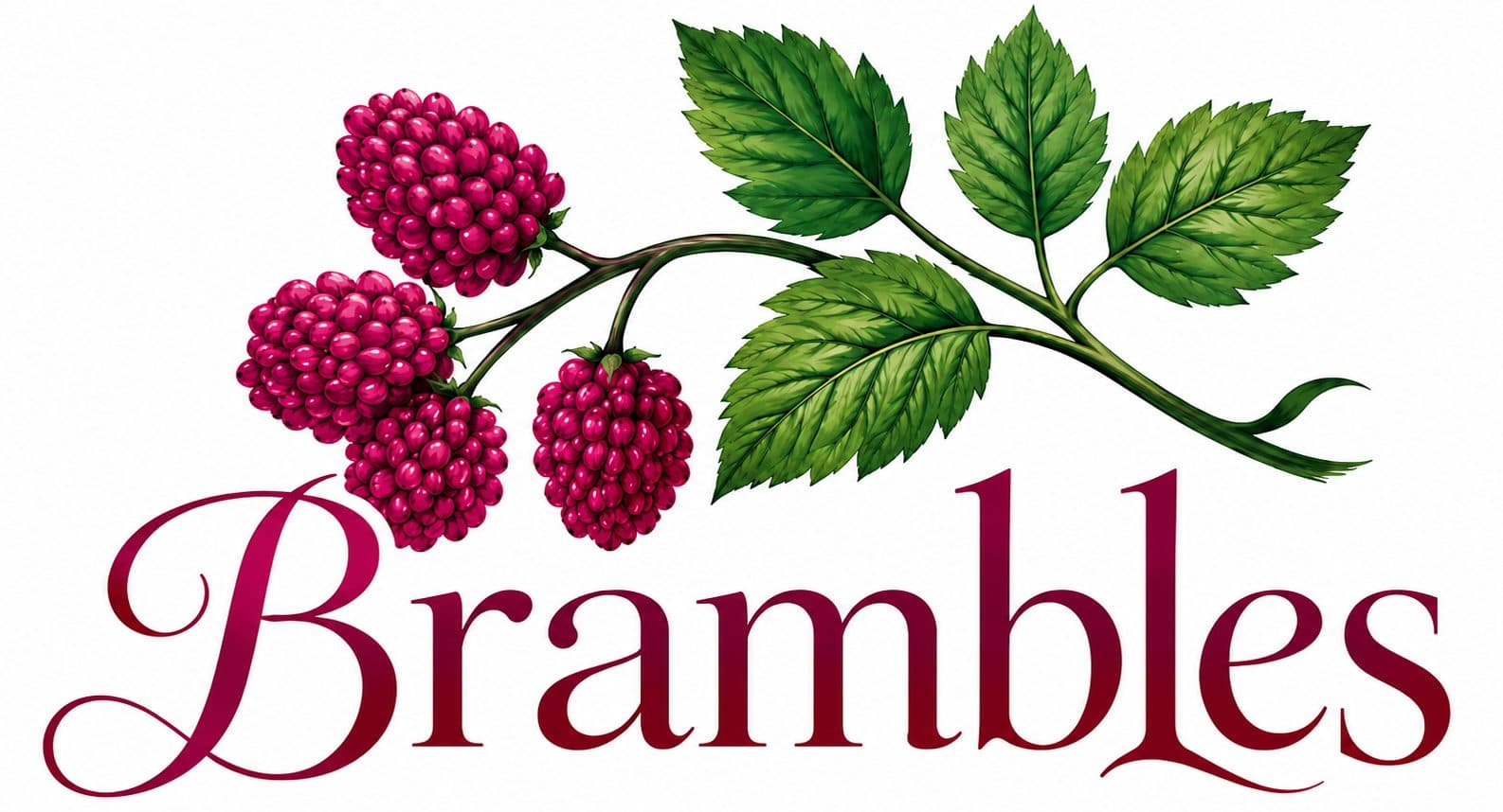 Brambles English Tea Room, Naples