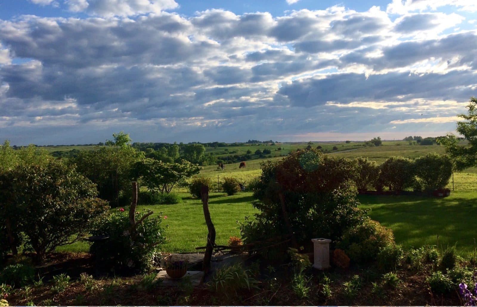 Miss Spenser's Special-Teas, New Virginia